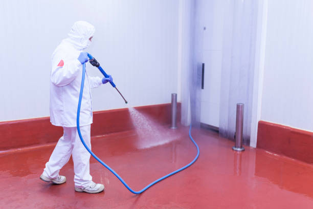 Pre-Holiday Cleaning in Colwyn, PA